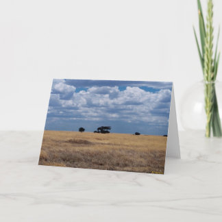 Cartão A planície de Serengeti