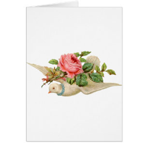 Cartão A pomba do vintage e aumentou