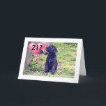 Cartão A PUPPY DE LABORATÓRIO PRETO DIZ "DESFRUTE DE aniv<br><div class="desc">ESTA PUTA DE LABORATÓRIO NEGRO ESTÁ TÃO PRONTA PARA DIZER "aniversário de 21 anos FELIZ" AO SEU AMIGO OU MEMBRO DA FAMÍLIA AGORA!!!!!!</div>
