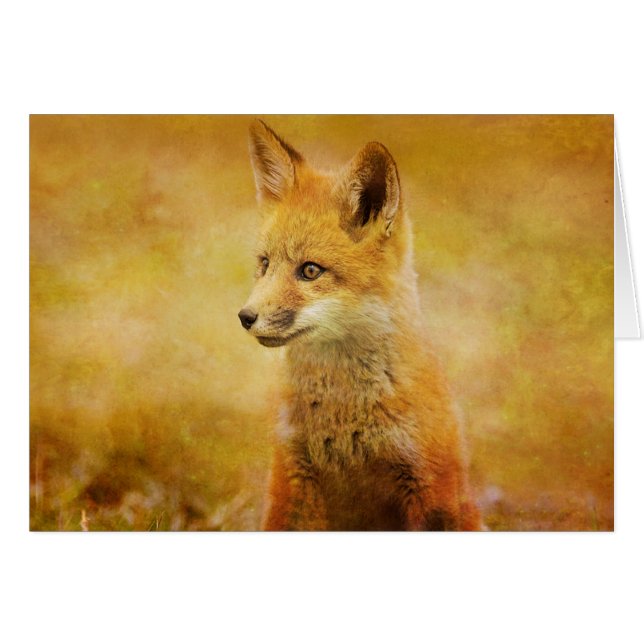 Cartão A Raposa na Madeira (Frente Horizontal)