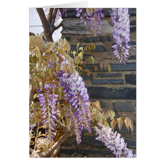 Cartão A retirada (Frente)