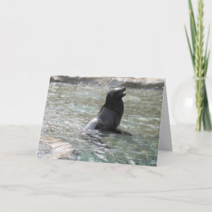 Cartão A saudação do foca rindo