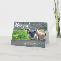 A senhorita Você Desejo Eu Poder vê-o anular