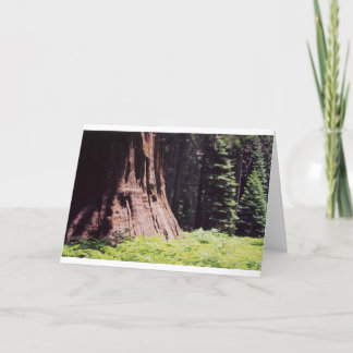 Cartão A sequóia poderosa