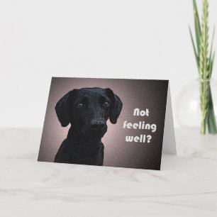 Cartão A solução de um cão ganha bem carta