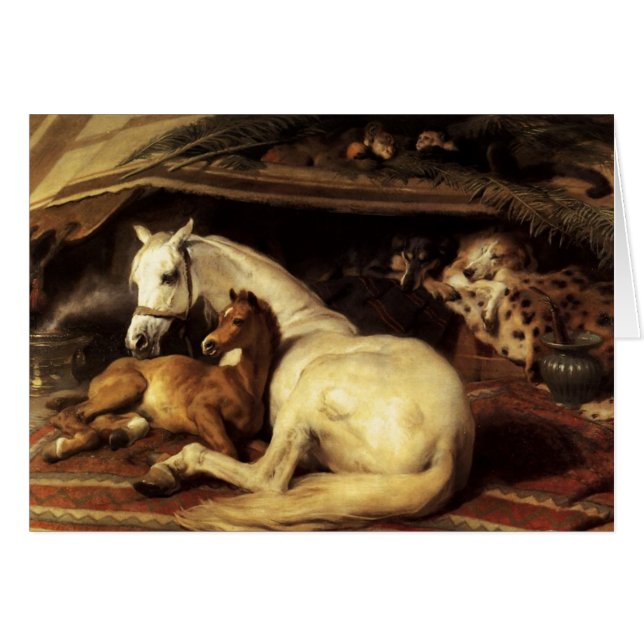 CARTÃO A TENDA ÁRABE COM CAVALOS E ANIMAIS (Frente Horizontal)