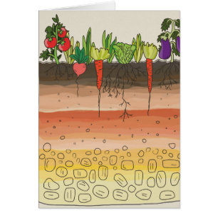 Cartão A terra do solo do jardim vegetal mergulha a arte