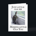 CARTÃO **A TURTLE SENTE SUA FALTA DE ANIVERSÁRIO**<br><div class="desc">VOCÊ TEM AQUELA PESSOA QUE DESEJA DEIXAR SABER **ELA OU ELA ESTÁ FALTA** E É ELA **** ANIVERSÁRIO**** E DESEJA DIVERTIR-SE DE **QUANTOS ANOS ELA VAI TER? BEM, ESTE CARTÃO TEM TUDO E SE VOCÊ GOSTA DE "TARTARUGAS" VOCÊ ESTÁ TODO DEFINIDO!!!!! OBRIGADO POR PASSAR POR UMA DAS MINHAS OITO LOJAS~~...</div>