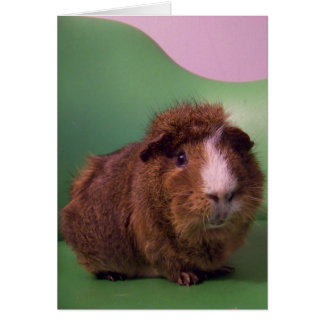 Cartão A um senhor distinto