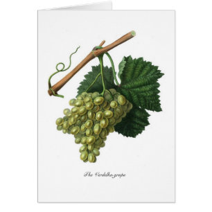Cartão A uva de Verdelho