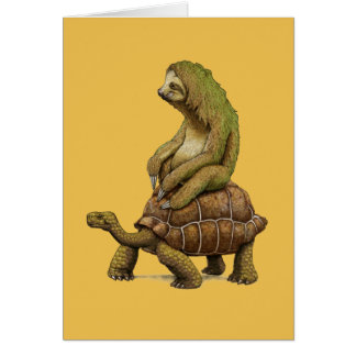 Cartão A velocidade é relativa