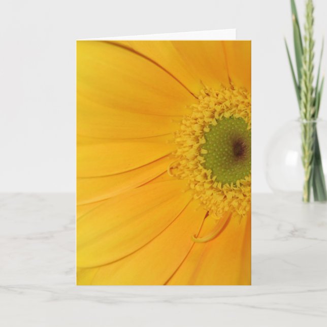 Cartão A vida é bonita! (Frente)