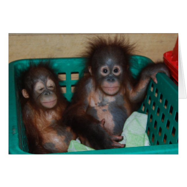 Cartão A vida é melhor quando compartilhada (Frente horizontal)