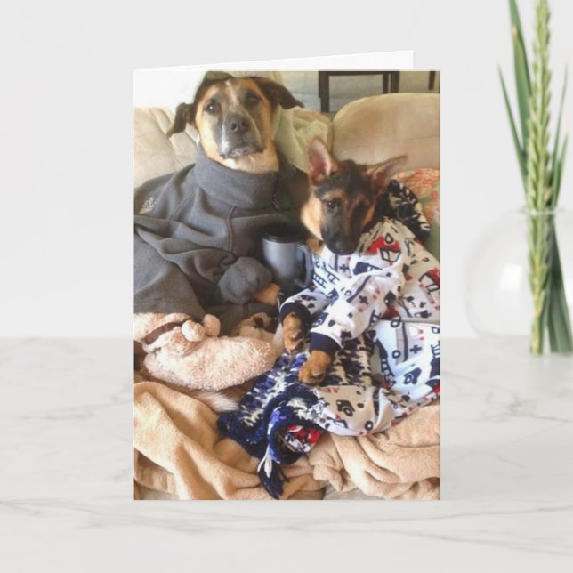 Cartão A vida é pavão-do-mar (Frente)