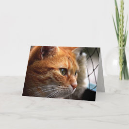 Cartão A vida é um estímulo que estou aqui para você