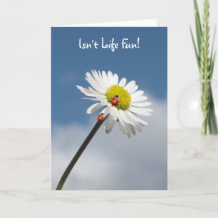 Cartão A vida não é divertida?