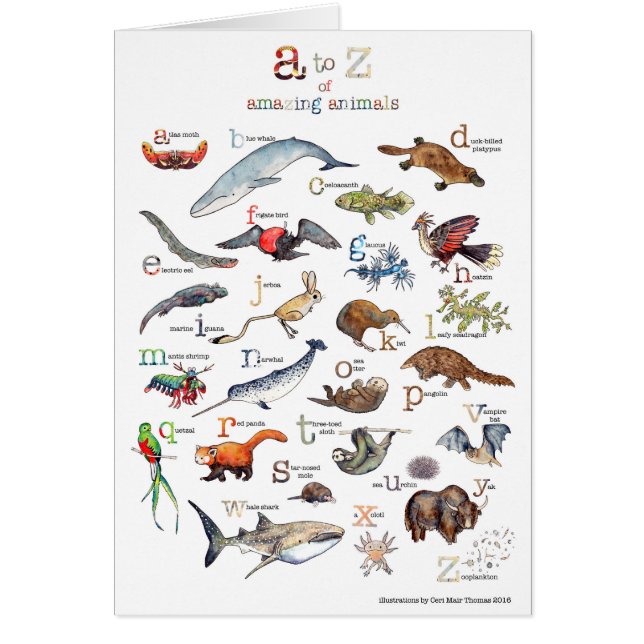 Cartão A-Z de animais surpreendentes (Frente)