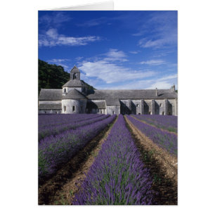 Cartão Abadia de Senanque, Gordes, Vaucluse, Provença,
