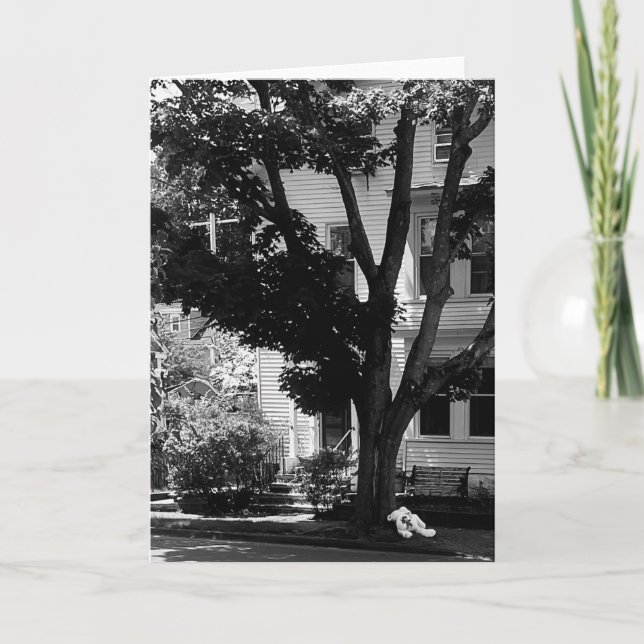 Cartão Abandoned Stuffed Teddy Bear Under Tree  (Frente)