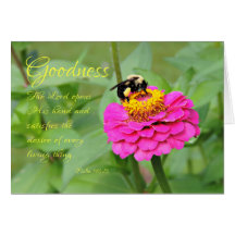 Abeja en Zinnia Rosa Pensando en Ti