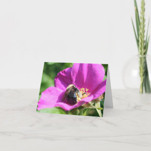 Cartão Abejas Em Rosa Roxa Fotografia Da Natureza Nota
