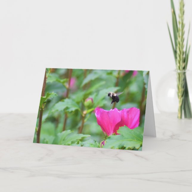 Cartão Abelha (Frente)