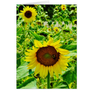 Cartão Abelha de girassol amarelo