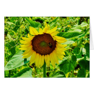 Cartão Abelha de girassol amarelo