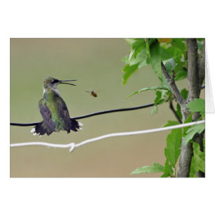 Cartão Abelha do colibri & do mel