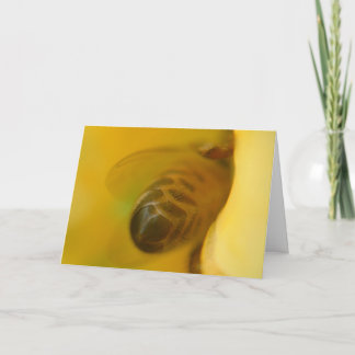 Cartão Abelha do mel