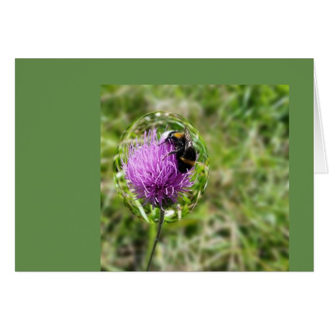 Cartão Abelha em bolha (Frente Horizontal)