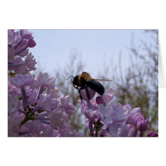 Cartão Abelha em lilac