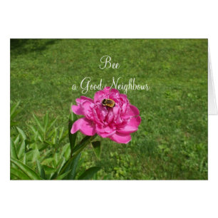 Cartão Abelha em um Flor-Bom dia vizinho vermelho