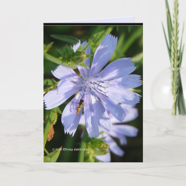 Cartão Abelha em um Wild Blu (Frente)