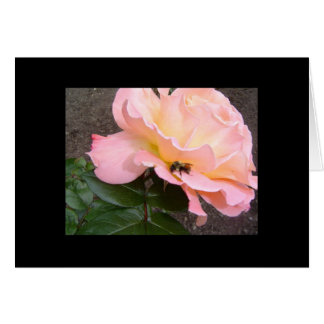Cartão Abelha em uma Rosa