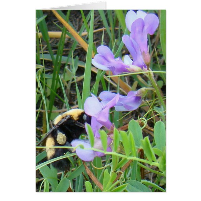 Cartão Abelha F2 em Flores Silvestres Roxas (Frente)