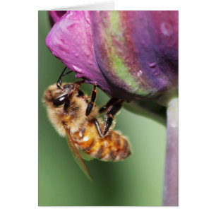 Cartão Abelha Felpudo Caída