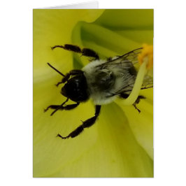 CARTÃO ABELHA IMPRESSIONANTE - CUMPRIMENTO CRISTÃO