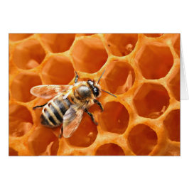Cartão Abelha Mel