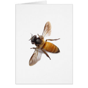 Cartão Abelha Mel