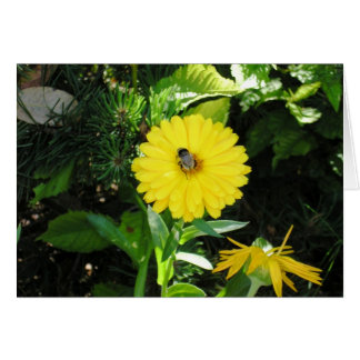 Cartão Abelha na flor