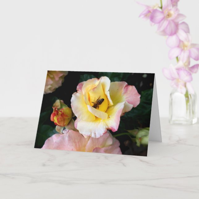 Cartão Abelha nas flores amarelas cor-de-rosa (Orquídea)