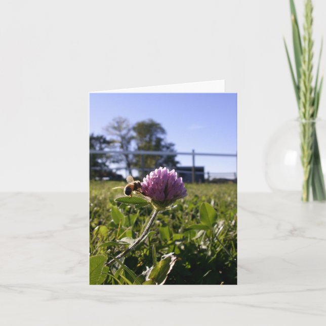 Cartão Abelha no trevo Notecard (Frente)