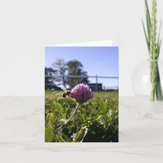 Cartão Abelha no trevo Notecard