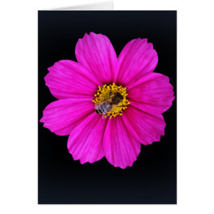 Cartão abelha trabalhadora