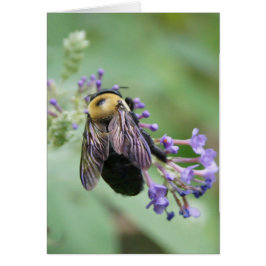Cartão Abelha utilante!