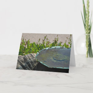 Cartão Abelhas bebendos, Phoenix, Arizona