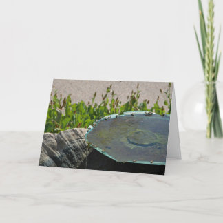 Cartão Abelhas bebendos, Phoenix, Arizona