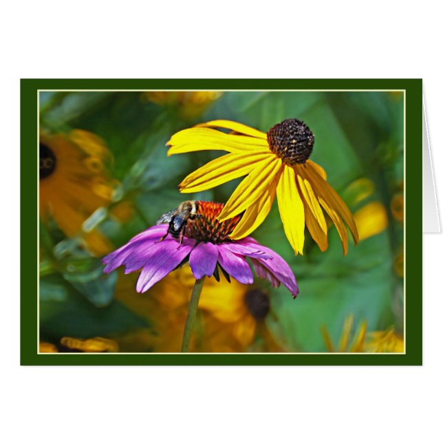 Cartão Abelhas e Blossomas (Frente Horizontal)