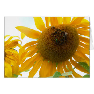 Cartão Abelhas ensolaradas